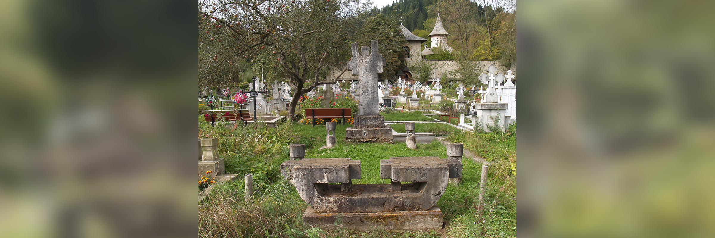 petru_comarnescu