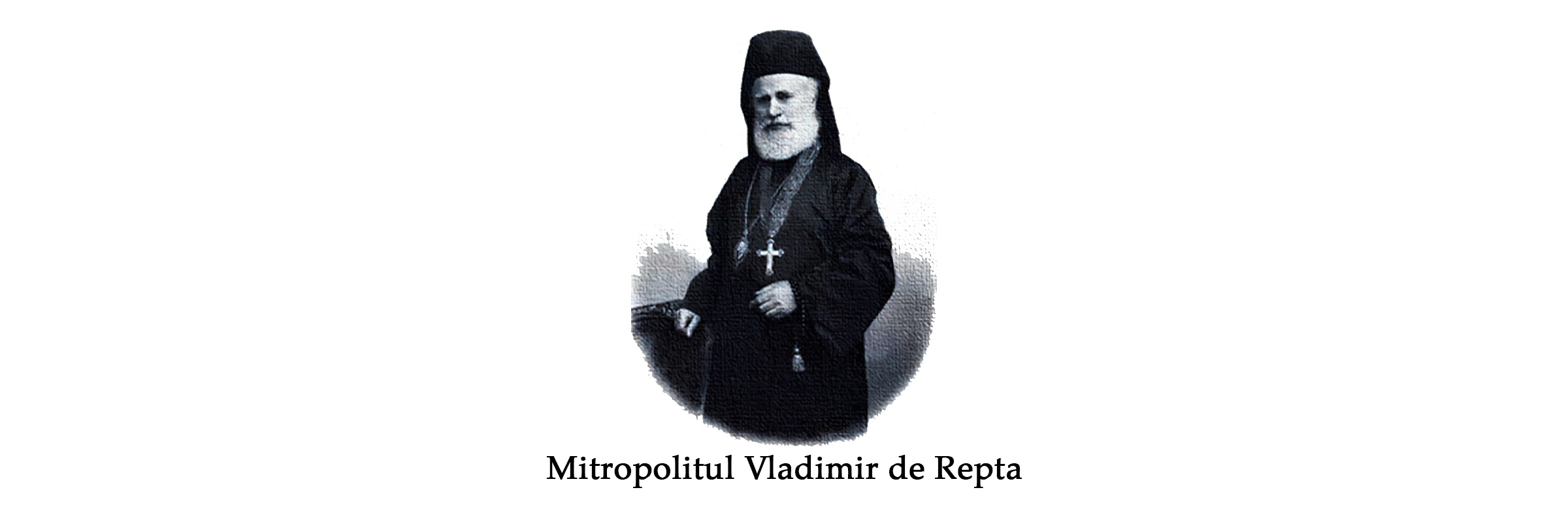 vladimir_de_repta_site